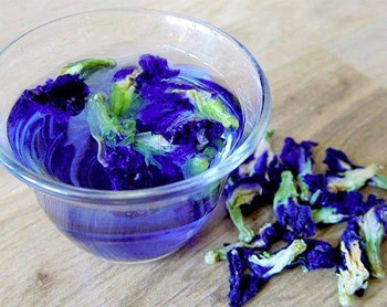 Cách lấy màu hoa đậu biếc trong chế biến ẩm thực